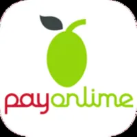 PayOnlime icon