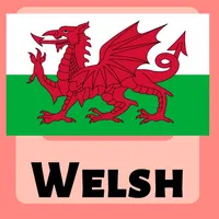 Learn Welsh Phrases & Words icon