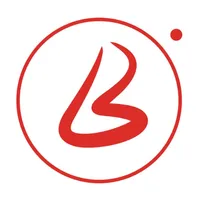 Brafie Provider icon