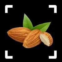 Nut Identifier: Seed ID icon