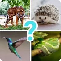 Animals quiz guess mammals zoo icon