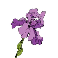 Iris shop | Краснодар icon