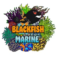 Blackfish Marine icon