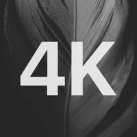 4K Black Wallpapers icon