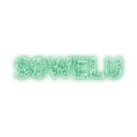 SOWELU（ソエル） icon