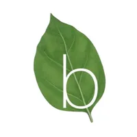 Basilico icon