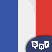 Learn French (Beginners) icon