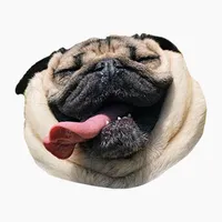 Pug Dog's Head icon