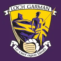 Wexford GAA icon