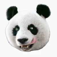 Panda's Head icon