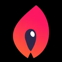 Torch Wallet icon