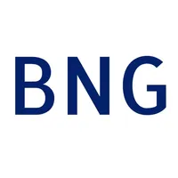 BNG FS icon