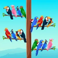 Bird Sort - Color Puzzle Games icon