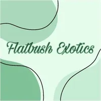 Flatbush Exotics icon