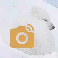 AlopexCamera - Camera Remote icon