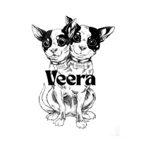 Veera Donuts icon