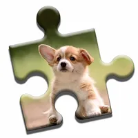 Cute Puppies Jigsaw Puzzle icon