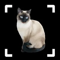 Cat Identifier: Kitty Breed ID icon