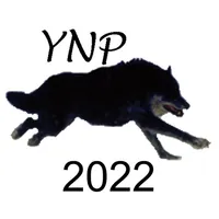 Yellowstone Wolves 2022 icon