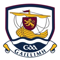 Galway GAA icon