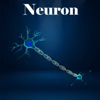 Learn Neuron icon