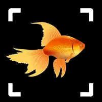 Fish Identifier: Fish Breed ID icon