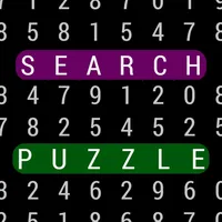 Search Puzzle icon