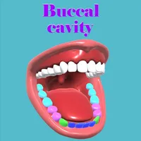 Buccal cavity icon