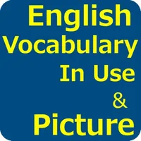 English Vocabulary in Use icon