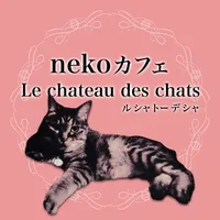 Le chateau des chats icon