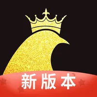 共画藏家 icon