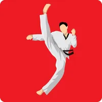 Taekwondo Workout At Home icon