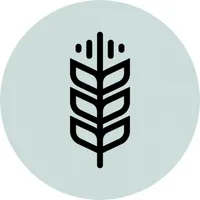 Wheat Calc icon