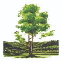 JNF - USA icon