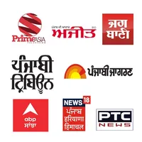 Punjabi Newspapers & News icon