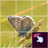 Slide Picture : Jigsaw Puzzle icon