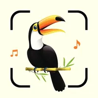 Bird Song Identifier Sounds ID icon