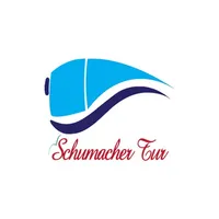 Schumacher Tur icon