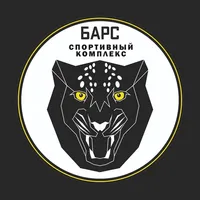 Спортивный комплекс Барс icon