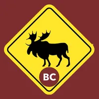 ICBC Driving Test: Driver Test icon