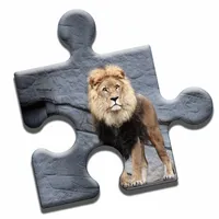 King Lion Puzzle icon