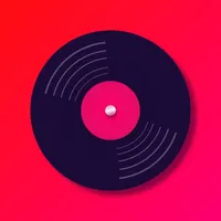 TikWidget - Vinyl Music Widget icon