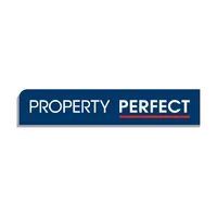 Perfect Connect icon