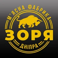 Зоря Дніпра icon