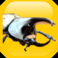 puzzle & beetle icon