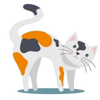 Memory Training: Cats icon