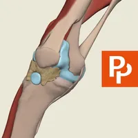 Primal's 3D Knee icon