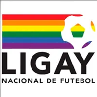 Ligay Nacional De Futebol icon