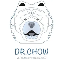 Dr Chow icon