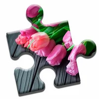 Tulip Love Puzzle icon